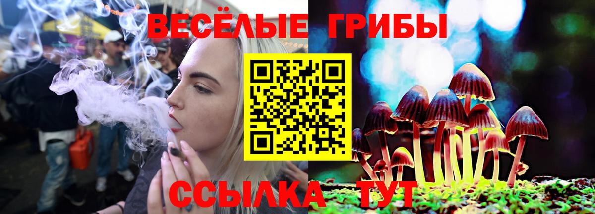 где можно купить наркотик  Псилоцибиновые грибы Psilocybe  Вход с VPN  Рассказово 