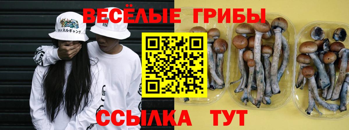 Псилоцибиновые грибы мицелий Рассказово